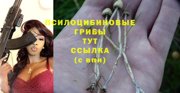 apvp Лихославль