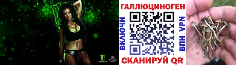 Галлюциногенные грибы мухоморы  Купить где  Петровск 