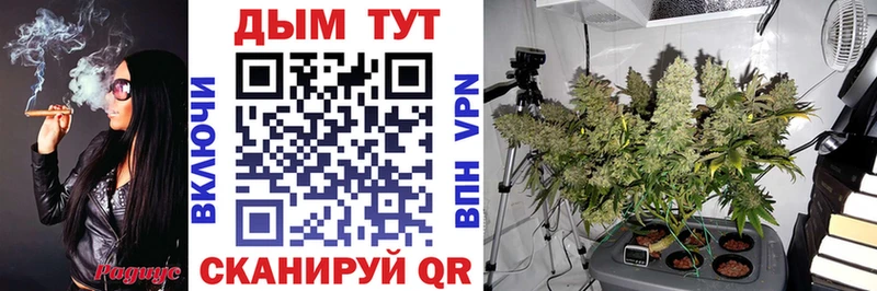 Купить  Петровск  Шишки марихуана LSD WEED 